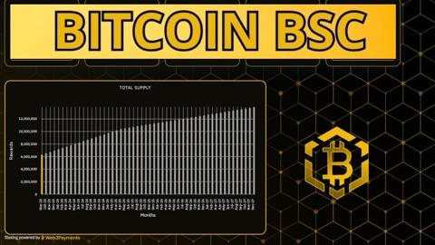 انطلاق البيع المسبق لعملة مشروع Bitcoin Bsc